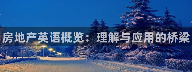 新宝5浗维33 300：房地产英语概览：理解与应用的桥梁