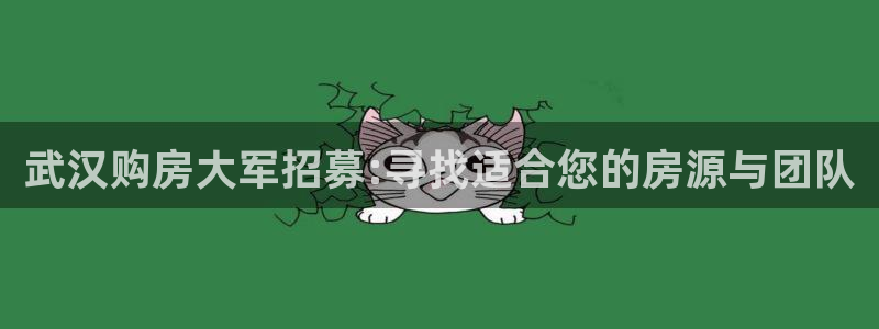 新宝5登录平台：武汉购房大军招募:寻找适合您的房源与团队
