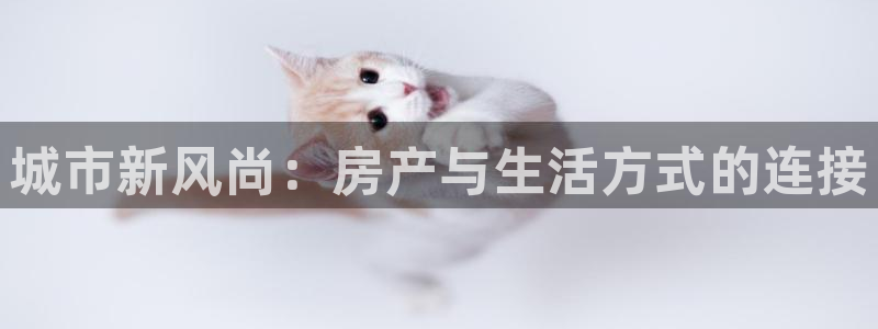 新宝5授权：城市新风尚：房产与生活方式的连接