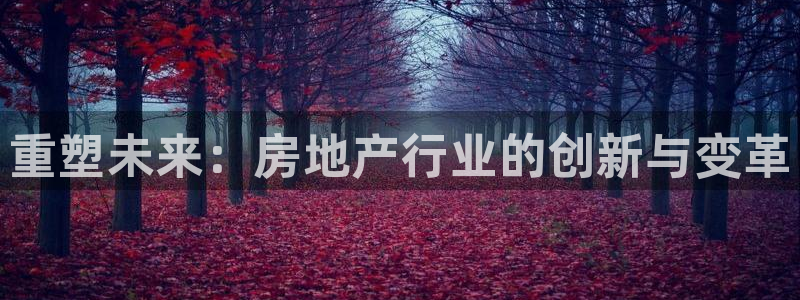 新宝5娱乐没：重塑未来：房地产行业的创新与变革