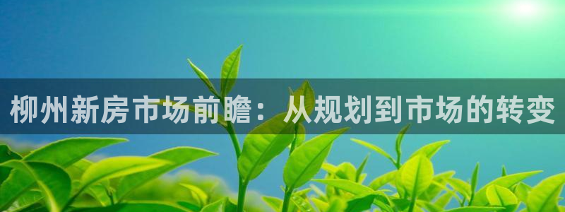 新宝5寻33 300球：柳州新房市场前瞻：从规划到市场的转变
