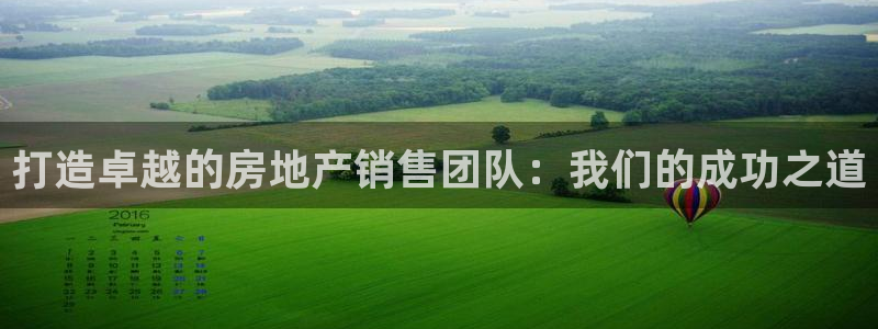 新宝新5：打造卓越的房地产销售团队：我们的成功之道