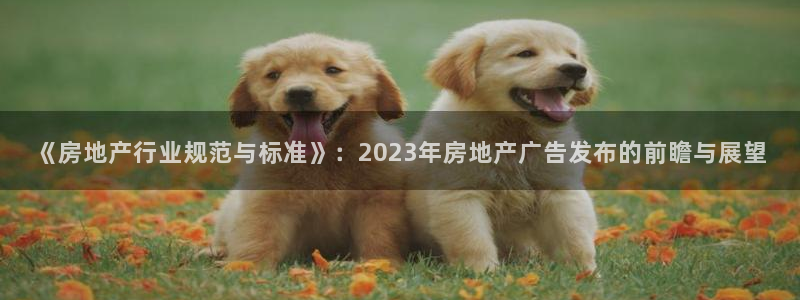 新宝5首页：《房地产行业规范与标准》：2023年房地产广告发