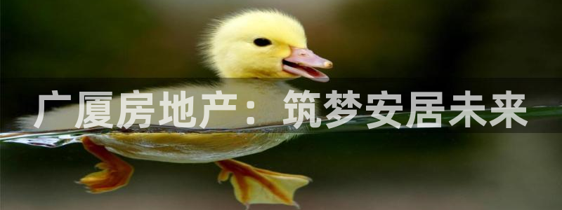 新宝5下载app：广厦房地产：筑梦安居未来