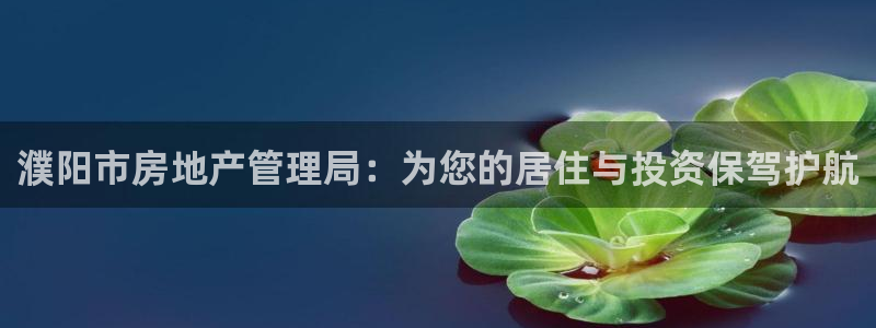 新宝5娱乐注：濮阳市房地产管理局：为您的居住与投资保驾护航