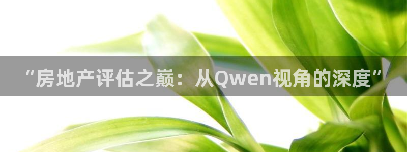 新宝G5：“房地产评估之巅：从Qwen视角的深度”
