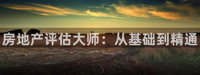 新宝5娱乐然：房地产评估大师：从基础到精通