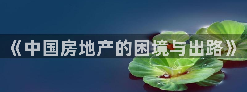 新宝5后：《中国房地产的困境与出路》