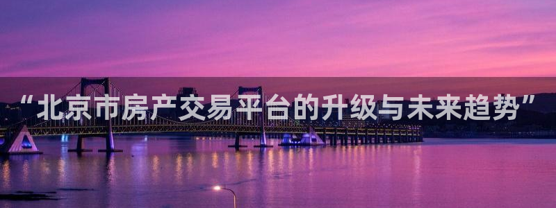 新宝5娱乐学