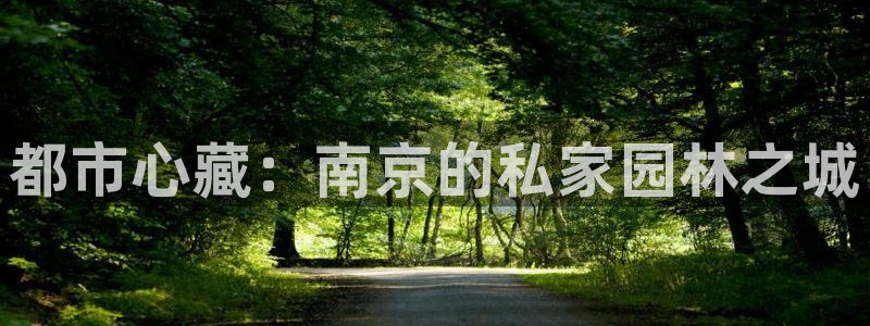 新宝5娱乐网址