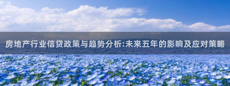 新宝骏rc5W：房地产行业信贷政策与趋势分析:未来五年的影响