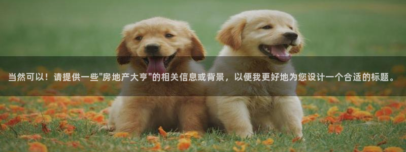 新宝5是谁：当然可以！请提供一些\