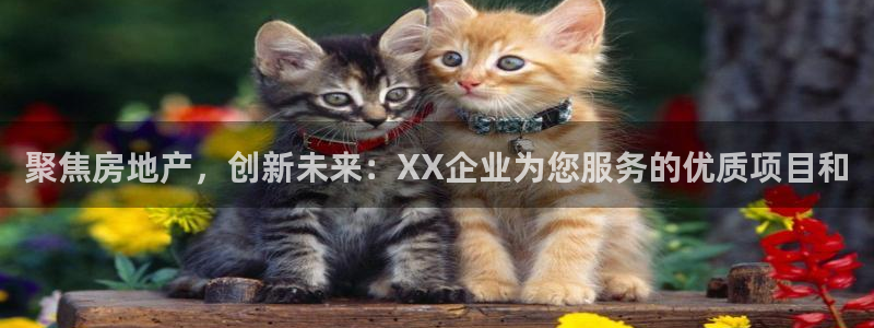 新宝5 注册：聚焦房地产，创新未来：XX企业为您服务的优质项