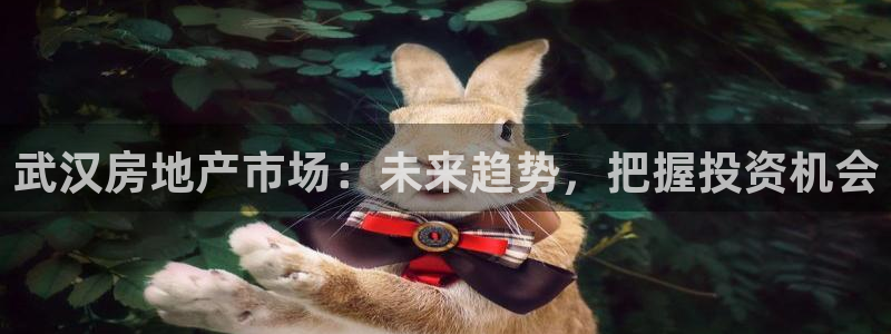 新宝5找找74OOO5：武汉房地产市场：未来趋势，把握投资机