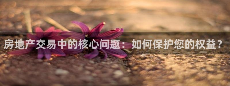老新宝5授权登录：房地产交易中的核心问题：如何保护您的权益？