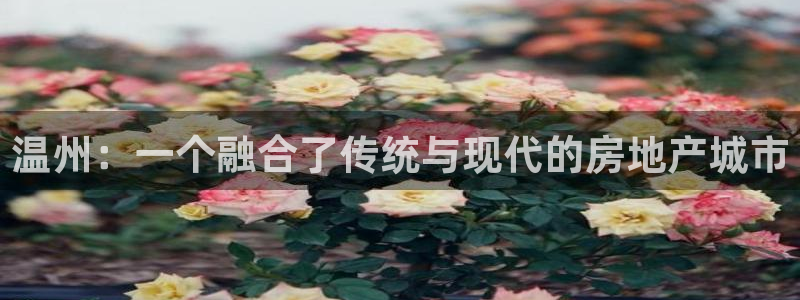 新宝5主管：温州：一个融合了传统与现代的房地产城市