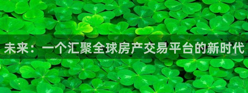 新宝5平台霸：未来：一个汇聚全球房产交易平台的新时代