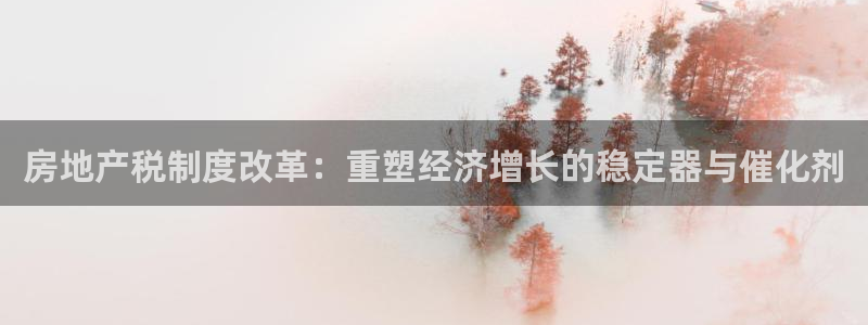 菲律宾新宝5老板：房地产税制度改革：重塑经济增长的稳定器与催