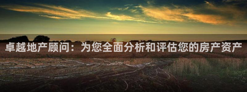 新宝5娱乐然：卓越地产顾问：为您全面分析和评估您的房产资产