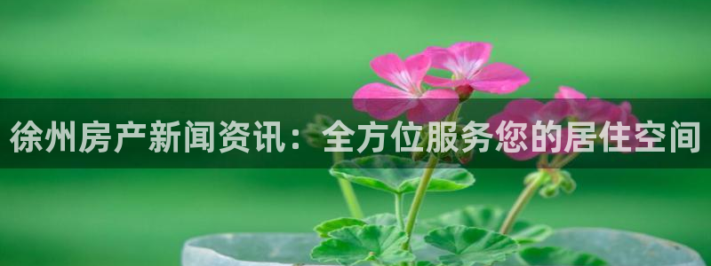 新宝5平台登录注册：徐州房产新闻资讯：全方位服务您的居住空间