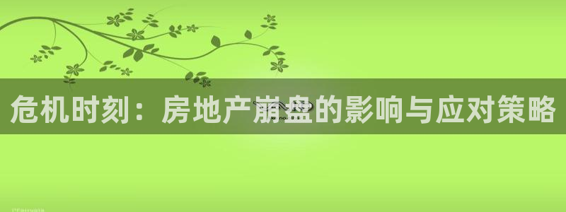 新宝b2O5O5O：危机时刻：房地产崩盘的影响与应对策略