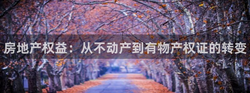 新宝测速5：房地产权益：从不动产到有物产权证的转变