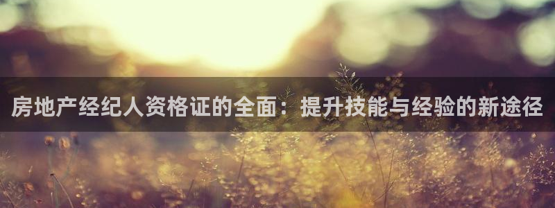 新宝5 唯一：房地产经纪人资格证的全面：提升技能与经验的新途