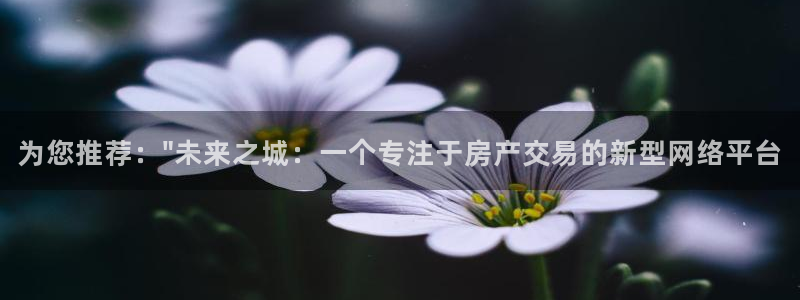 新宝速5：为您推荐：\