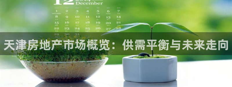 老新宝5授权登录：天津房地产市场概览：供需平衡与未来走向