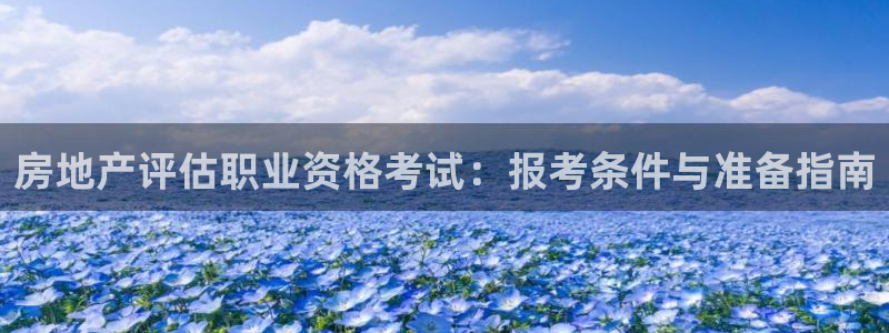 新宝5新宝6顺达：房地产评估职业资格考试：报考条件与准备指南