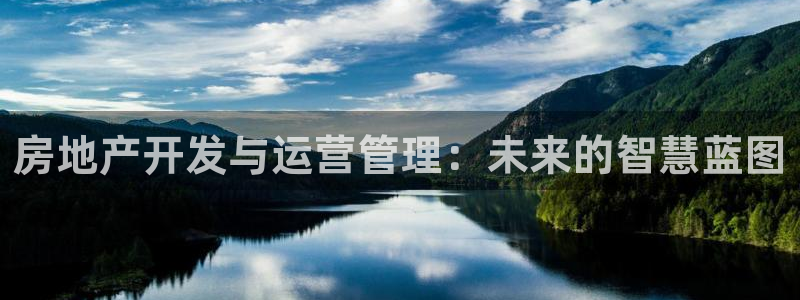 新宝5娱乐经：房地产开发与运营管理：未来的智慧蓝图