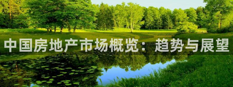 新宝5系列：中国房地产市场概览：趋势与展望