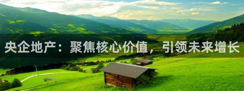 新宝5公司：央企地产：聚焦核心价值，引领未来增长