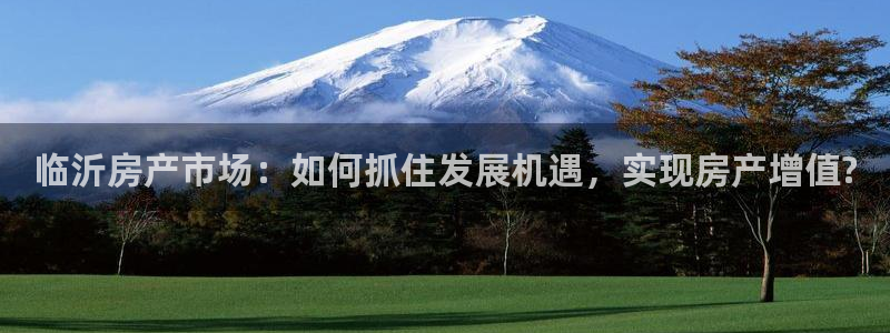 新宝5谠631257：临沂房产市场：如何抓住发展机遇，实现房