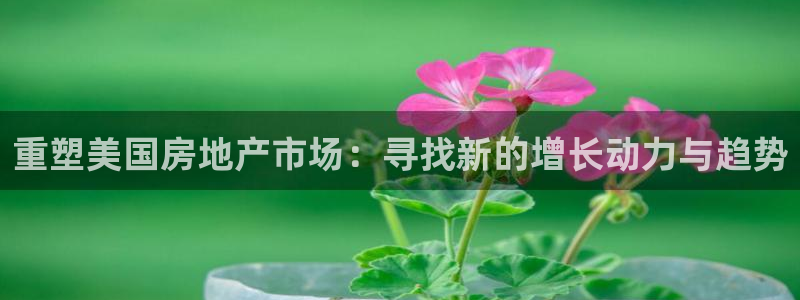 新宝5娱乐学：重塑美国房地产市场：寻找新的增长动力与趋势