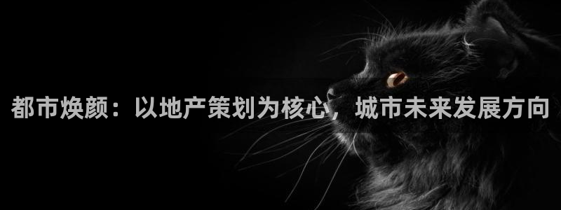新宝5下载 迅雷下载：都市焕颜：以地产策划为核心，城市未来发