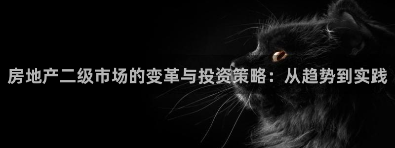 新宝5下载网址：房地产二级市场的变革与投资策略：从趋势到实践