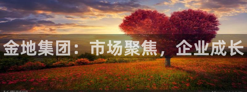 新宝5天：金地集团：市场聚焦，企业成长