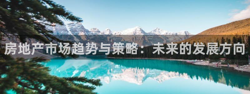 新宝股东瞧听2 5 5：房地产市场趋势与策略：未来的发展方向