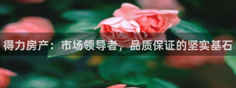 新宝5官方下载地址：得力房产：市场领导者，品质保证的坚实基石