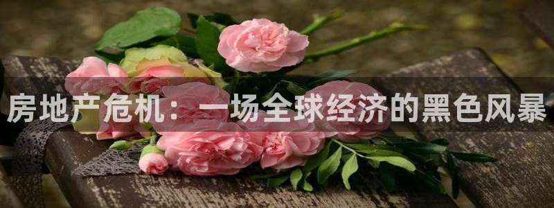 新宝5注册登录：房地产危机：一场全球经济的黑色风暴