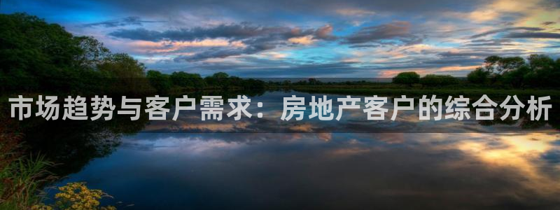 新宝5蒋7O667：市场趋势与客户需求：房地产客户的综合分析